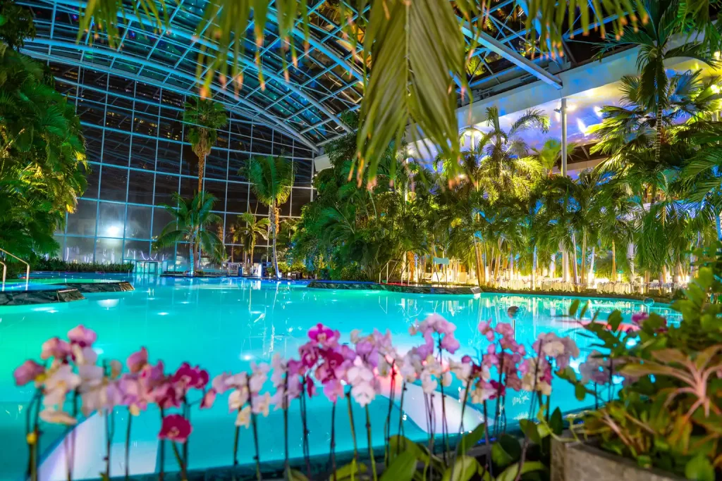 Herbarium Festival 2026: cel mai mare festival de wellness din lume dedicat terapiilor pe bază de plante revine la Therme București